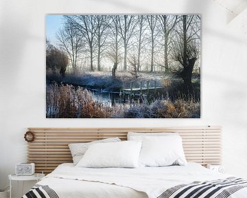 Wooden jetty in a frozen pond surrounded by trees and reeds with