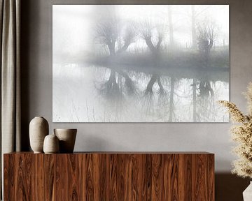 Three pollarded willows on the lake shore with reflection in the