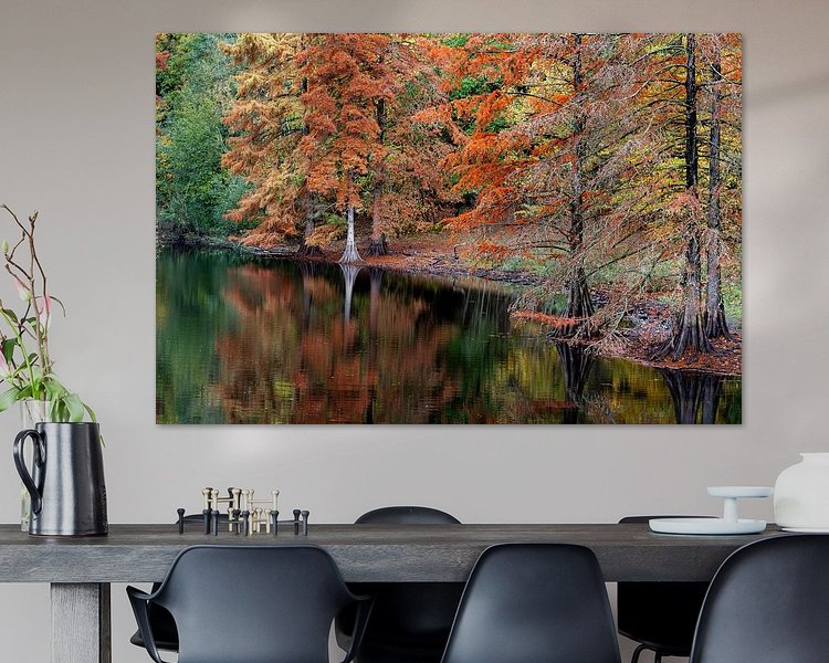 Aperçu de la chambre