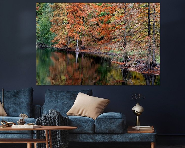 Aperçu de la chambre