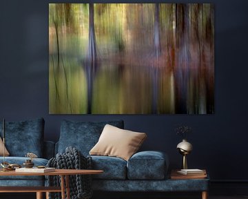 Silence serein / photographie créative de la nature avec les cyprès des marais