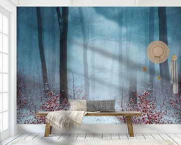 Mystical cloud forest in winter by Dirk Wüstenhagen