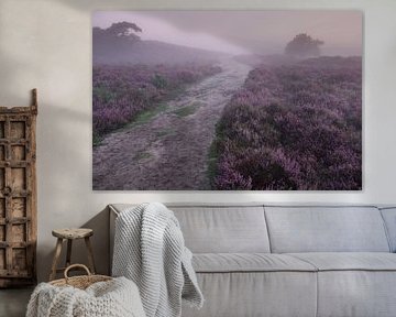 Walking on the moors by Douwe Schut