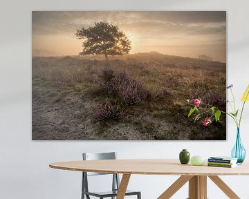 Matinée sur l'Archemerberg sur Douwe Schut