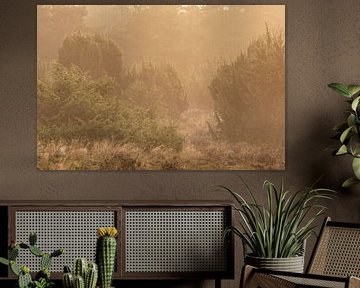 Baies de genièvre sur Douwe Schut