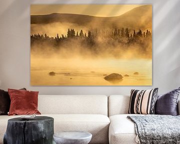 Mistige naaldbossen in Zweeds Lapland van Krijn van der Giessen