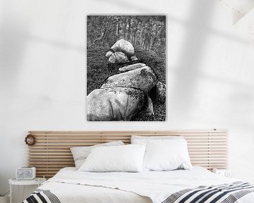 Hoogen Steener (automne) sur Dolm