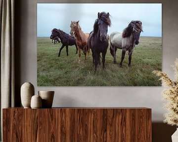 Rassemblement des curieux sur Koen Hoekemeijer