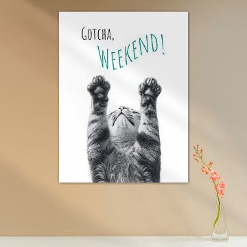 Coole Katze - Wochenende