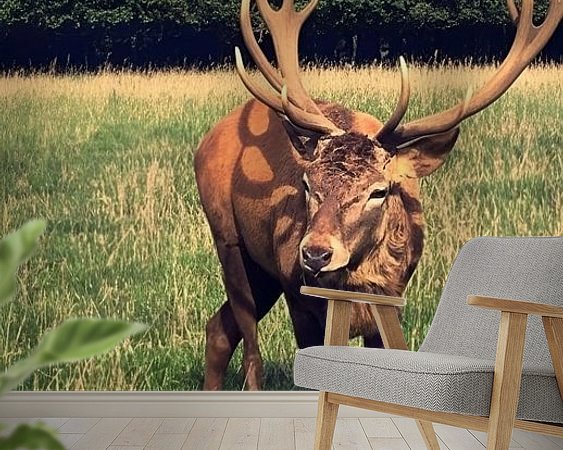 Raumvorschau