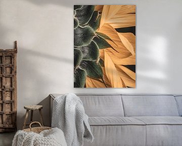 Sunflower in detail by Adje Photography