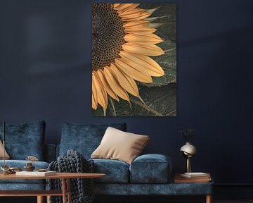 Heart of the sunflower by Adje Photography