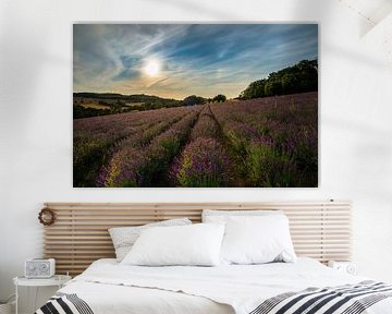 Provence de Lippe sur Thomas Junklewitz