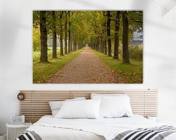 Allee mit Bäumen im Herbst