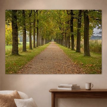 Allee mit Bäumen im Herbst