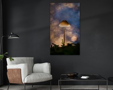 Pilz von Andre Michaelis