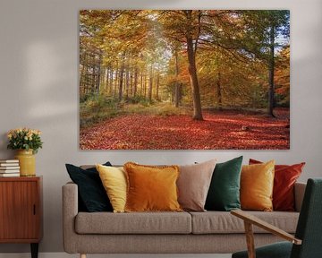 De Magie van het Rode Bos