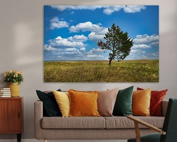 Landscape shot over the dunes in autumn with a solitary tree by Martin Köbsch