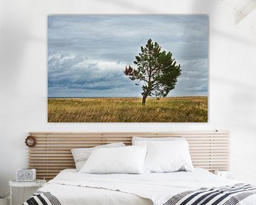 Landscape shot over the dunes in autumn with a solitary tree by Martin Köbsch