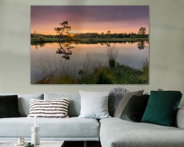 wet Veluwe by Jan Koppelaar