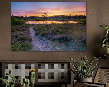 Path to the reflection by Jan Koppelaar