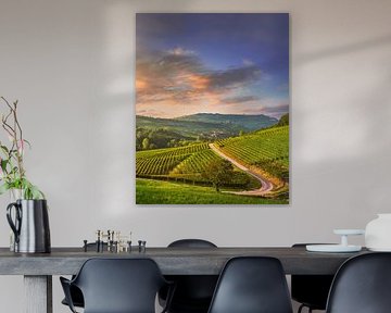 Blick auf die Weinberge der Langhe und eine Straße in Barolo von Stefano Orazzini