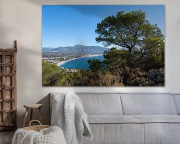 View of the coast with mountains and trees