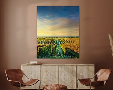 Weinberge von Bolgheri bei Sonnenuntergang. Alta Maremma, Toskana, Italien von Stefano Orazzini