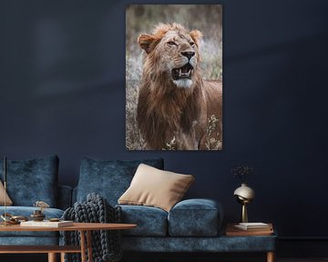 De koning van de savanne