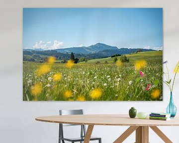 Vue printanière sur le Grünten dans l'Allgäu avec de superbes fleurs et pissenlits sur Leo Schindzielorz