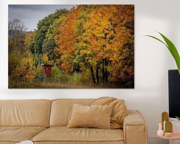 Aperçu de la chambre