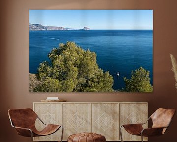 Pines, calm sea and distant mountains