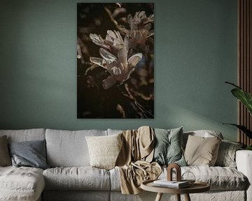 Voor dag en dauw - Magnolia van Christine Nöhmeier