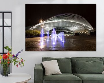 Station Guillemins bij nacht van Patrick de Vleeschauwer