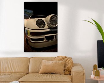 The Beast of Group B by JD Photography