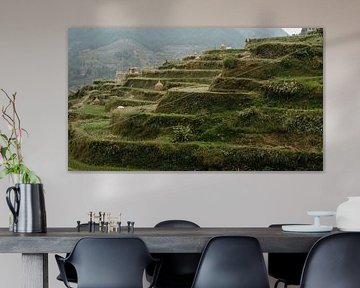 traditional rice terraces by Diederik De Mezel