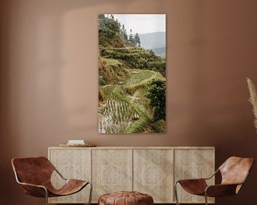 Peaceful mountain landscape with rice terraces in Guizhou, China by Diederik De Mezel