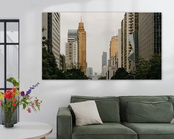 Urban skyline of Guangzhou, Guangdong, China. by Diederik De Mezel