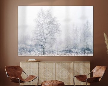 Frosted birch by Gonda Versteeg