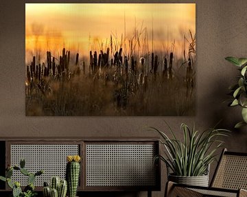 Peacefull morning by Gonda Versteeg