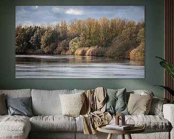 Scheldt River Moody Autumn Landscape