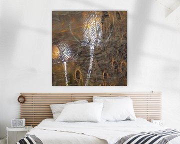 Zomer en winter verenigd