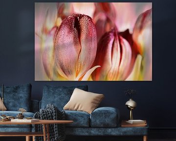 rosa Tulpen von Dieter Walther