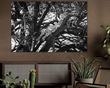 Gardien du Serengeti - Léopard en noir et blanc sur Krijn van der Giessen