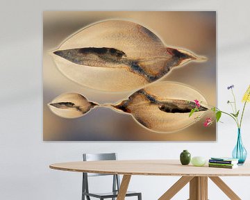 Tidal Drift Aqua 984 - Formes côtières organiques douces en sable chaud &amp ; bleu brume de mer sur Saskia Mensink PRINTS