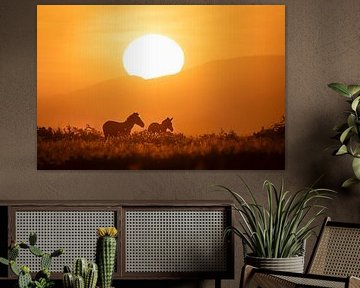 Zebra's op de Serengteti in zonsopkomst van Krijn van der Giessen