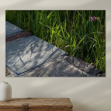 La bataille des lignes