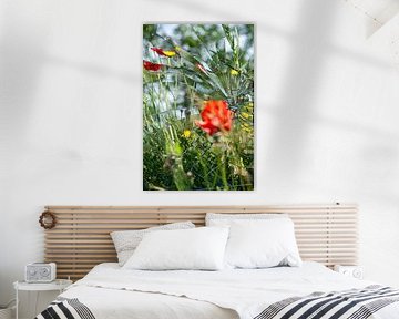 Broken Summer by Karin van Bylevelt