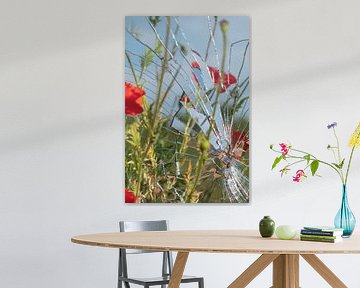 Sharp Summer by Karin van Bylevelt