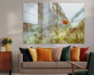 Nectar Moment by Karin van Bylevelt